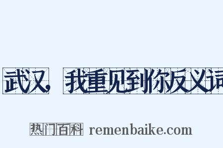 武汉，我重见到你反义词是什么意思的图片